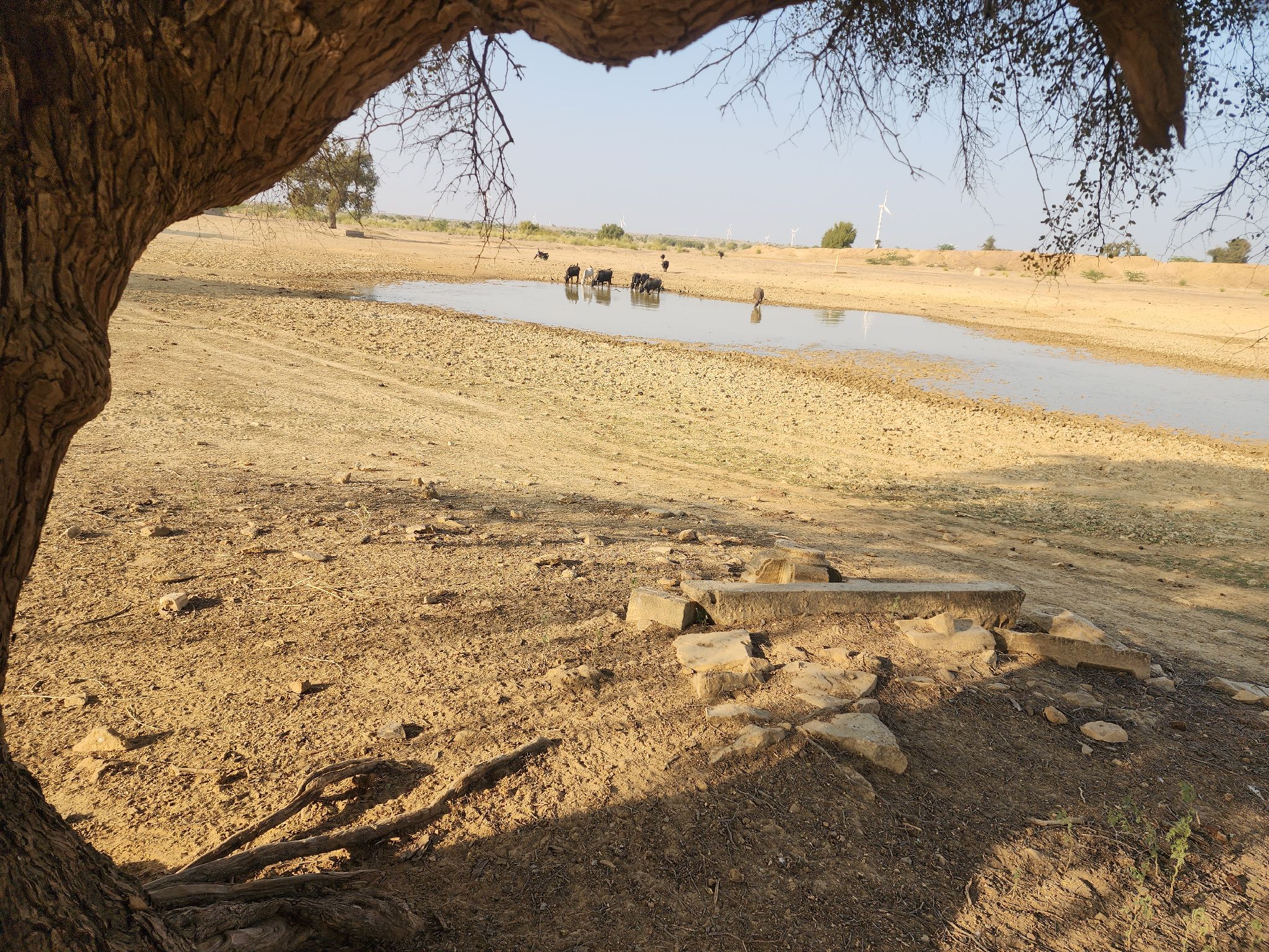 water level