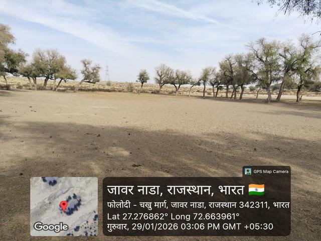 DFDF